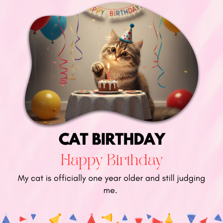 Cat Birthday Captions