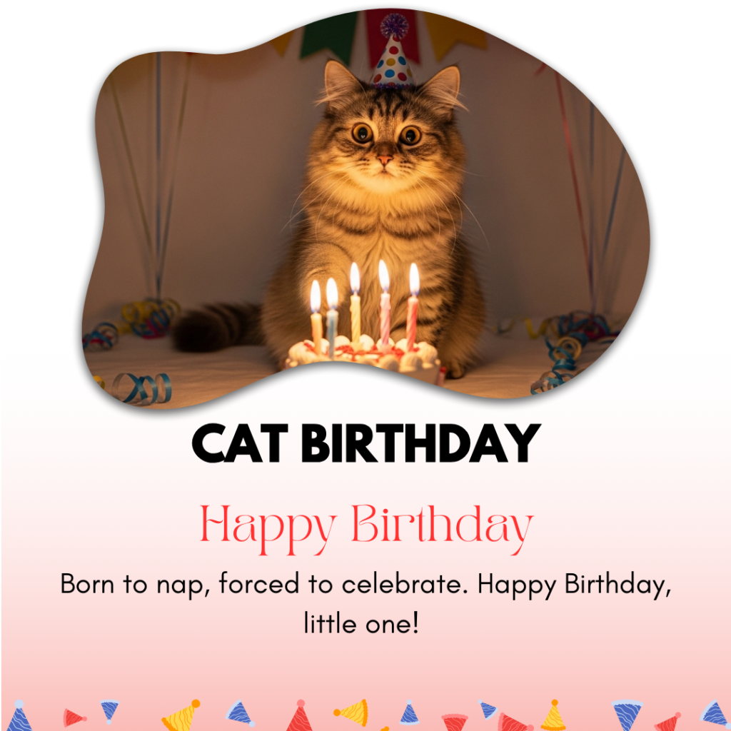Cat Birthday Captions