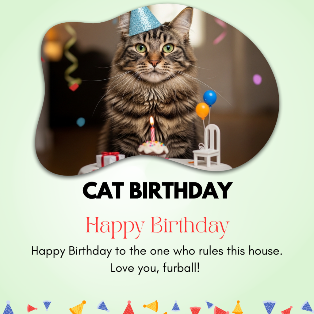 Cat Birthday Captions