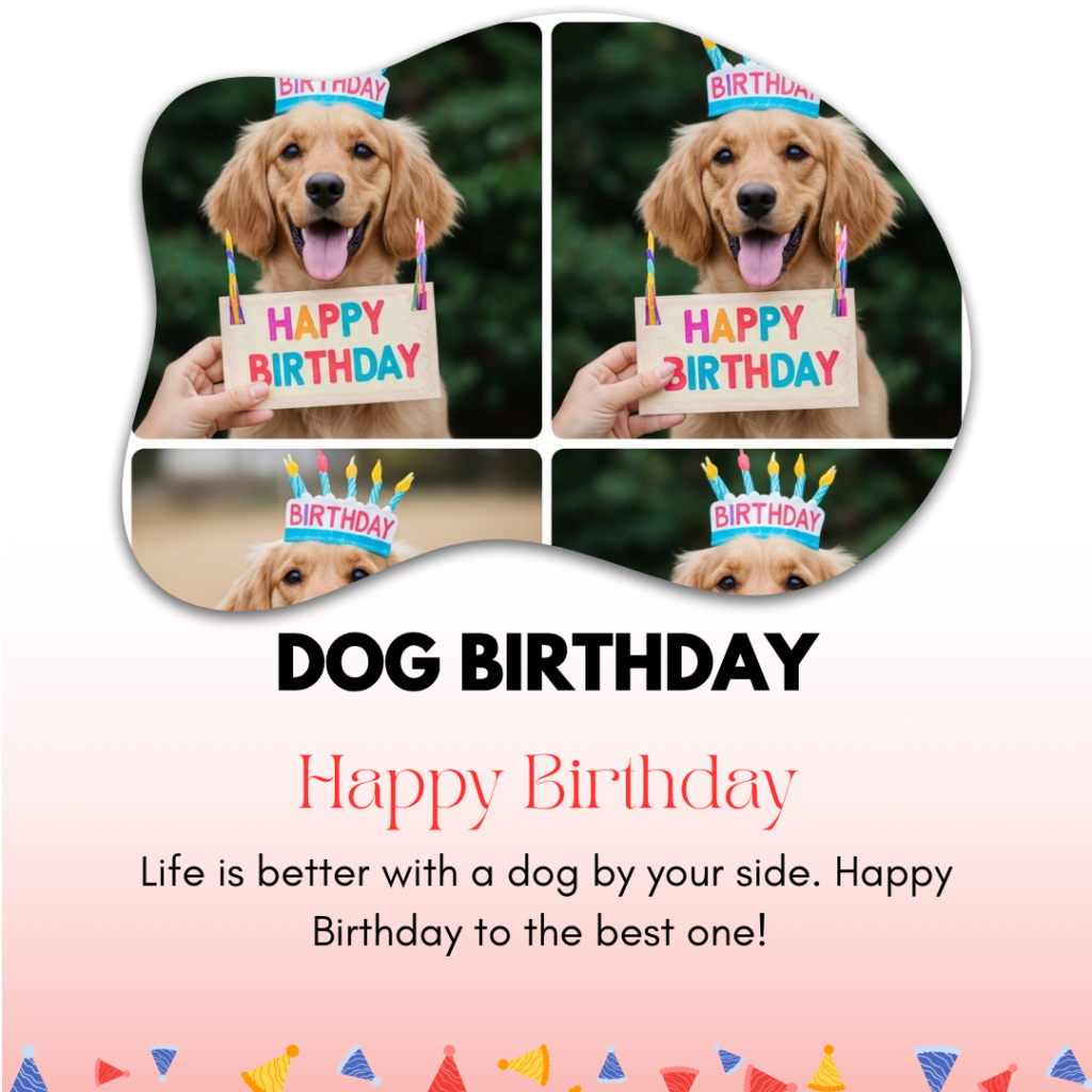 Dog Birthday Captions