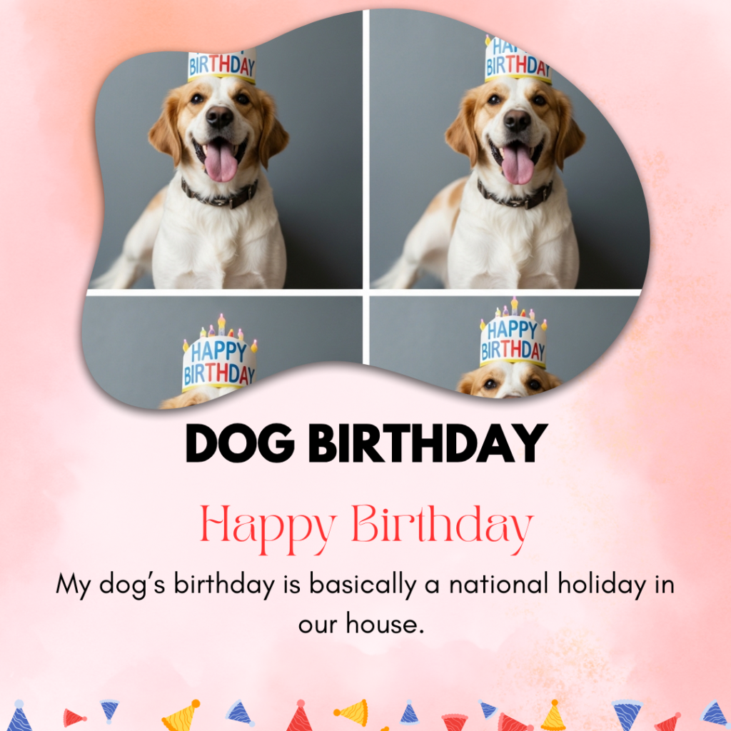 Dog Birthday Captions