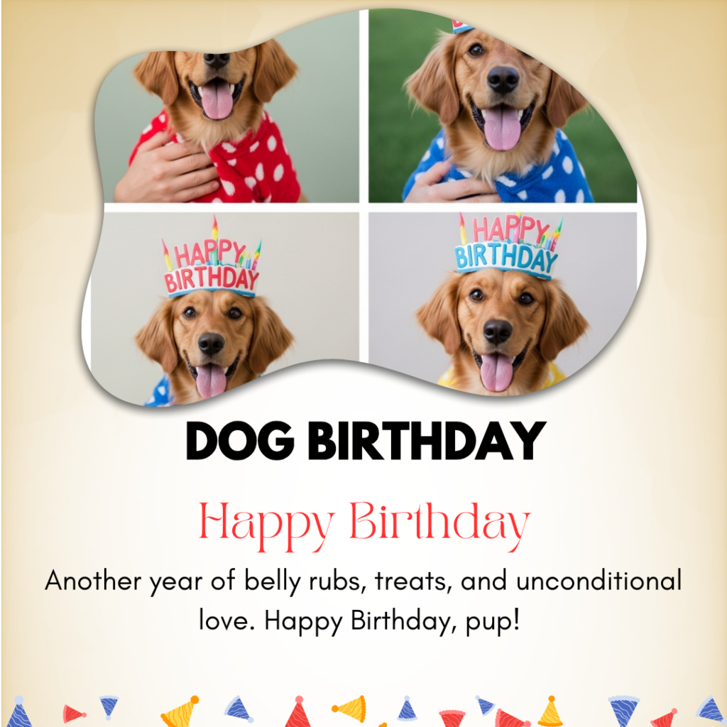 Dog Birthday Captions
