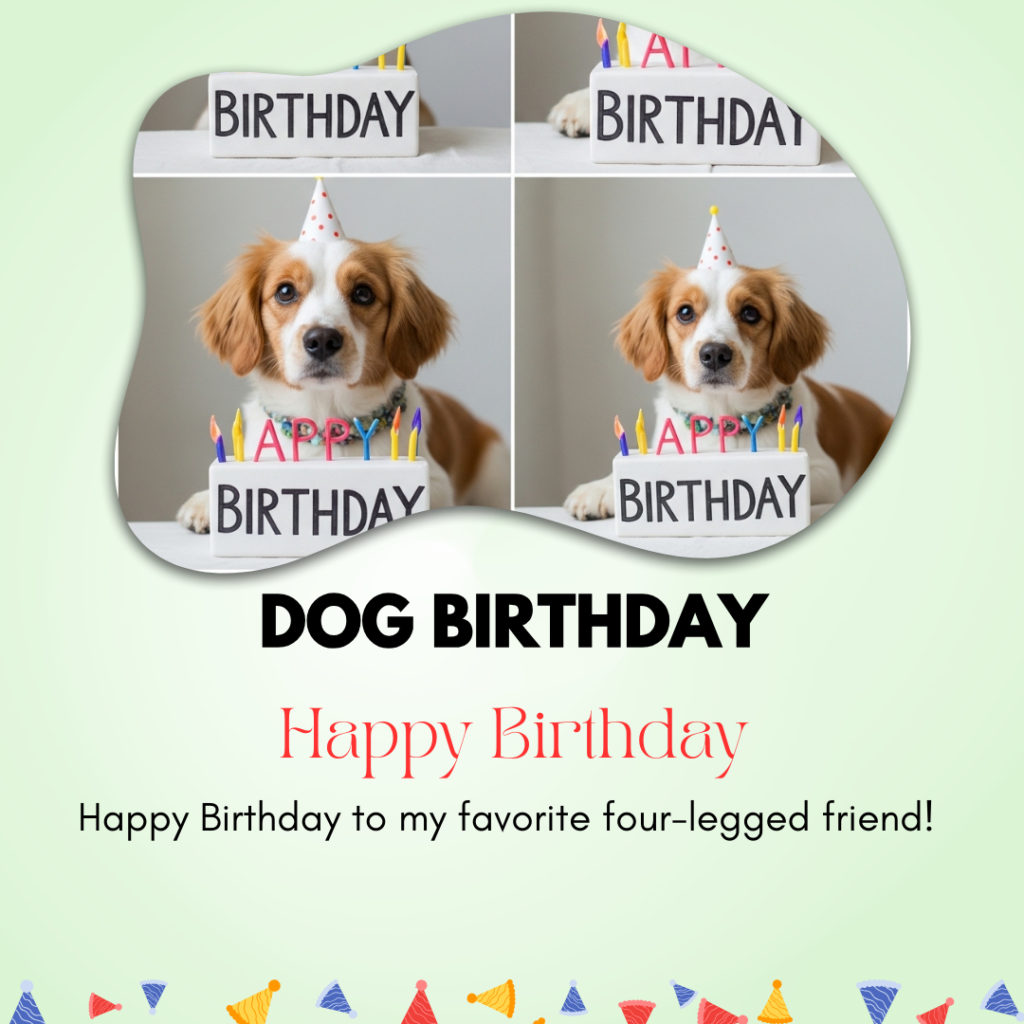 Dog Birthday Captions